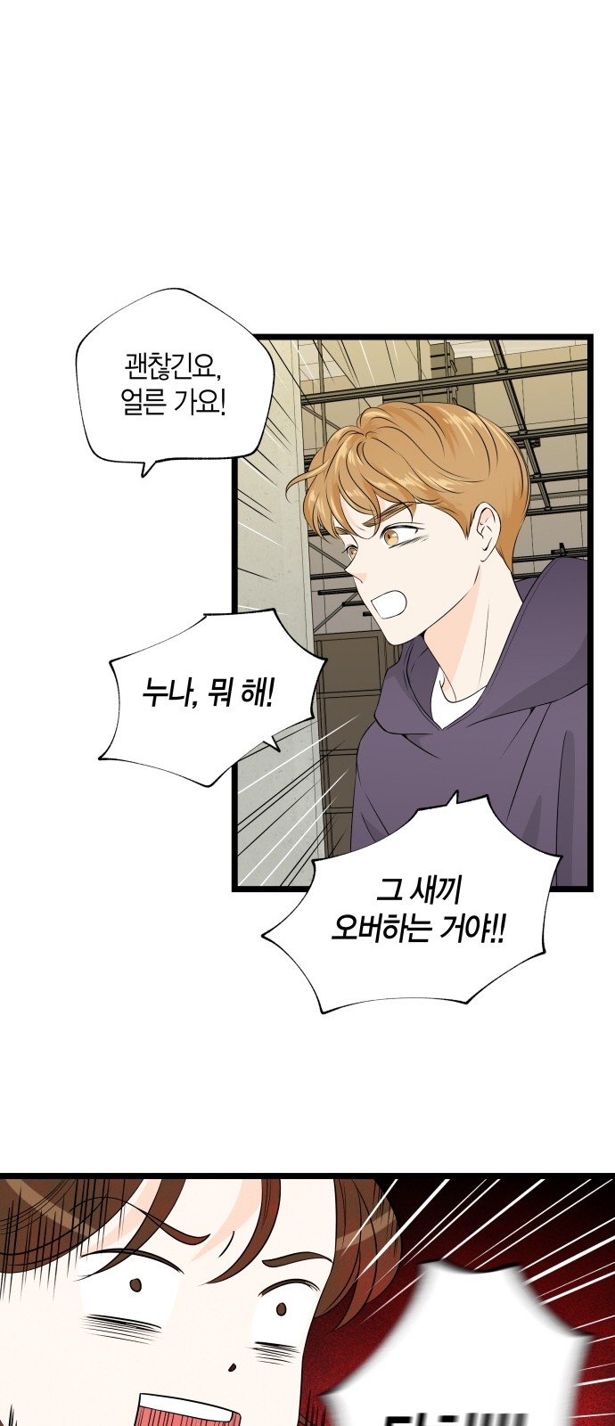 17 페이지