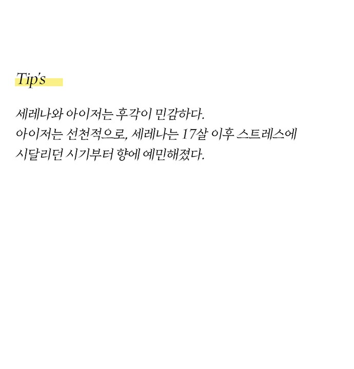 85 페이지