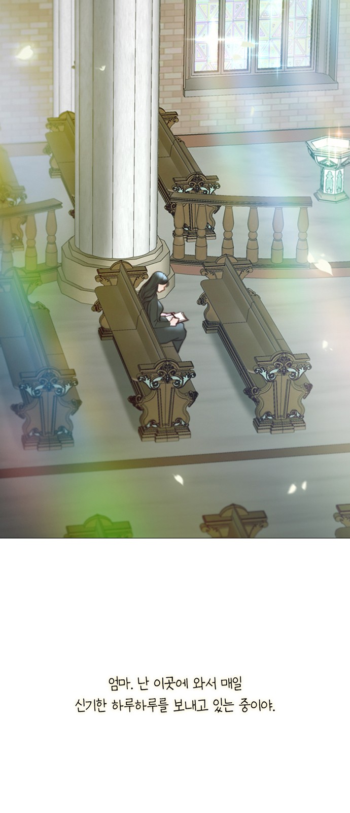 5 페이지
