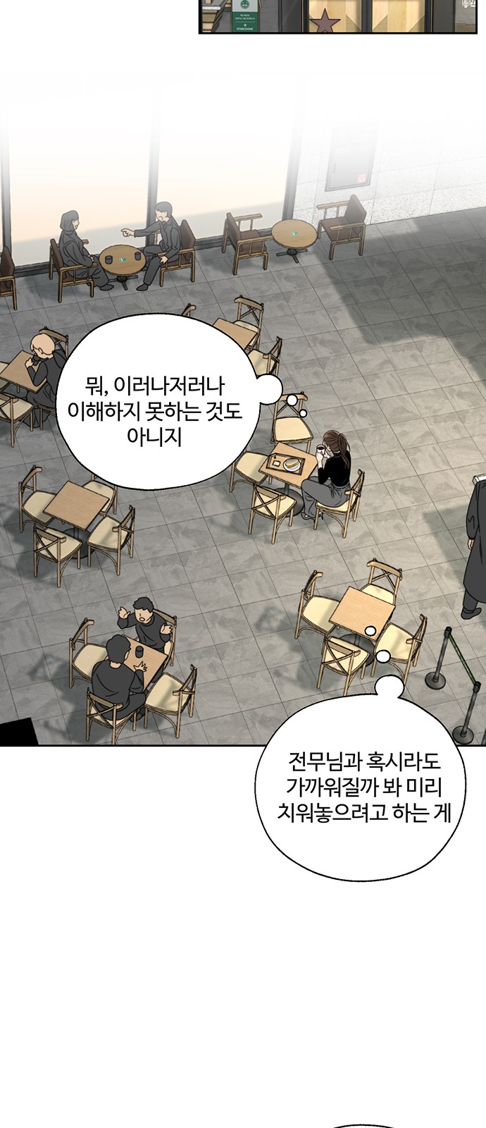 66 페이지