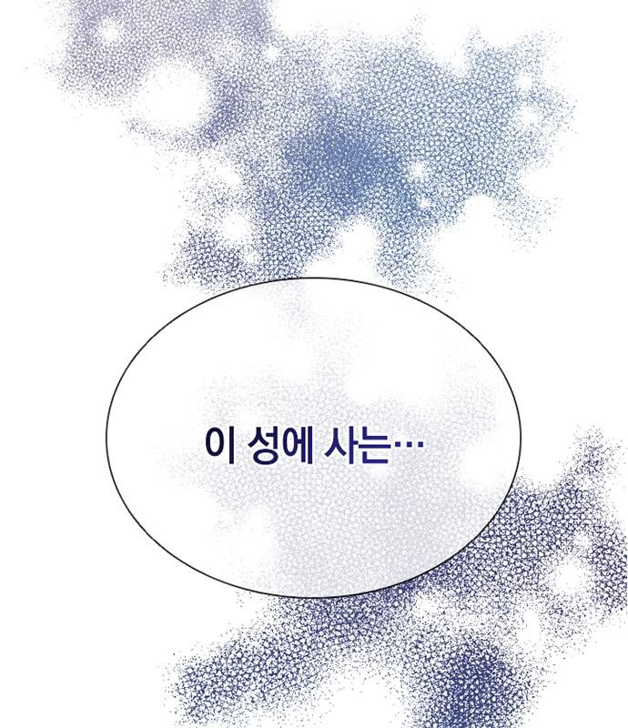 121 페이지