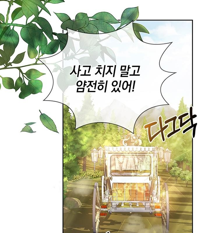 135 페이지