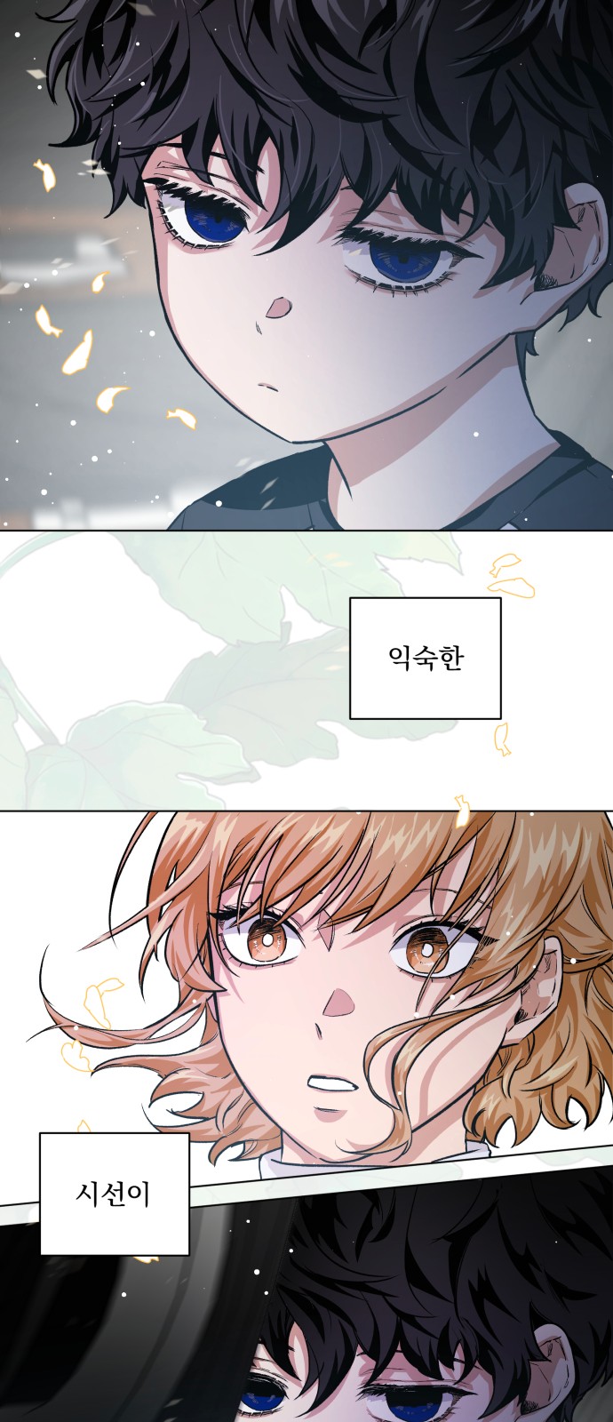 43 페이지