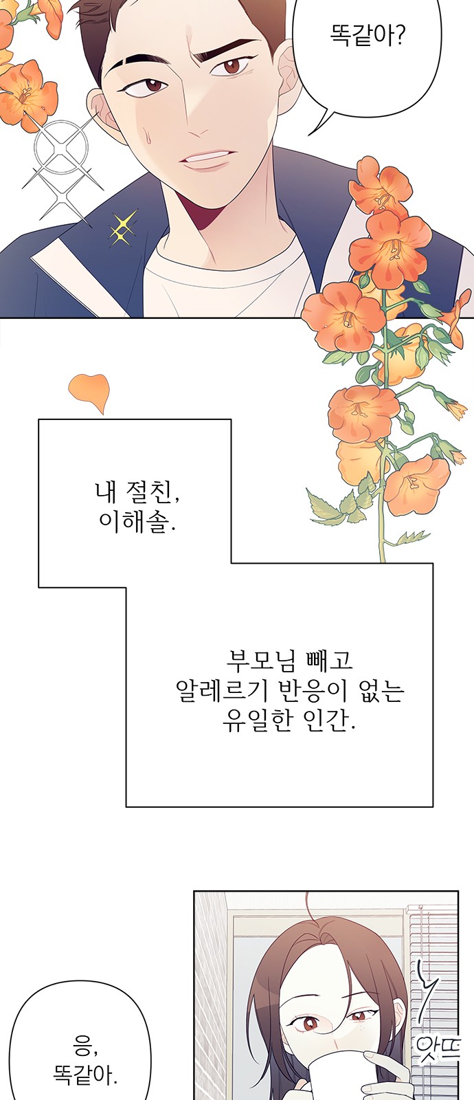 15 페이지