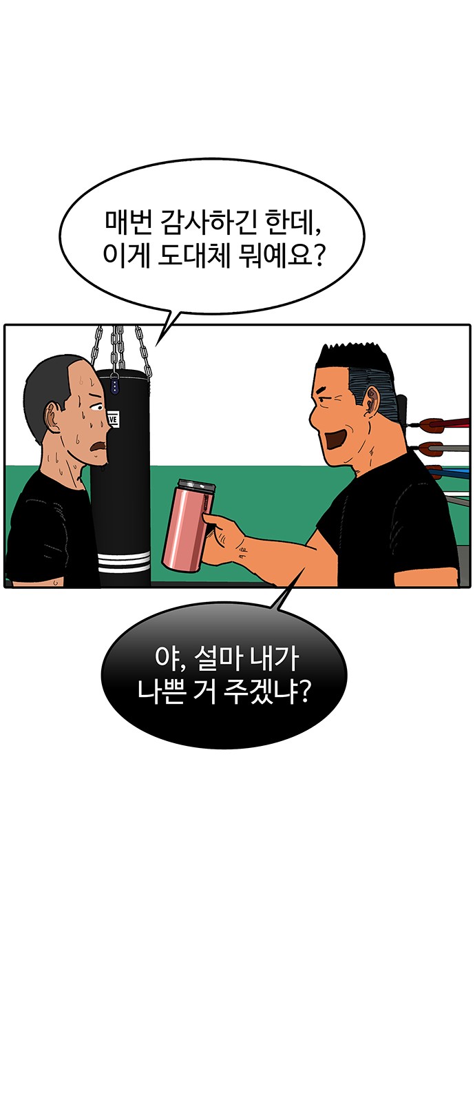 43 페이지