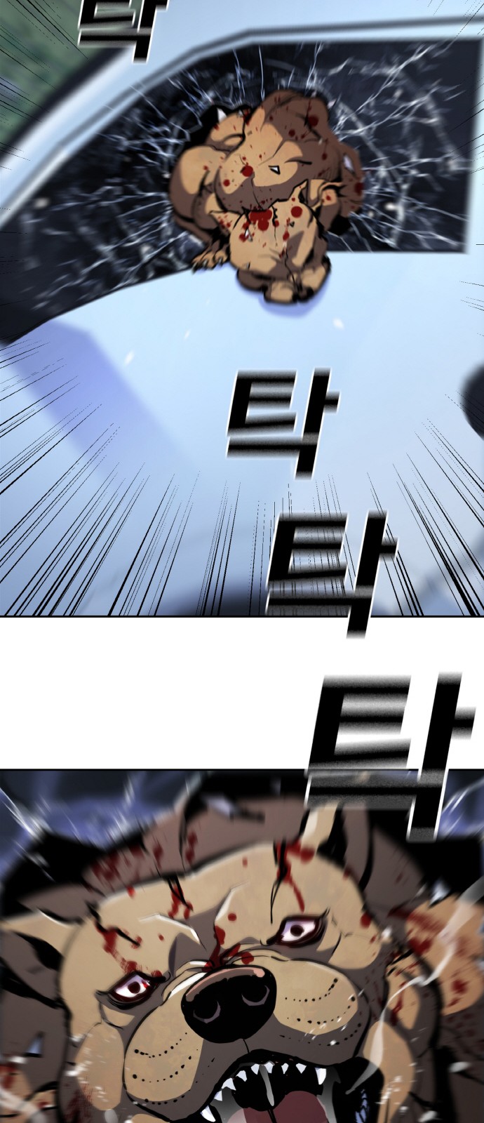 43 페이지