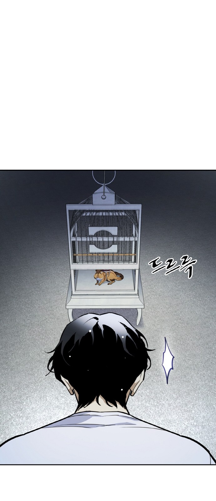 35 페이지
