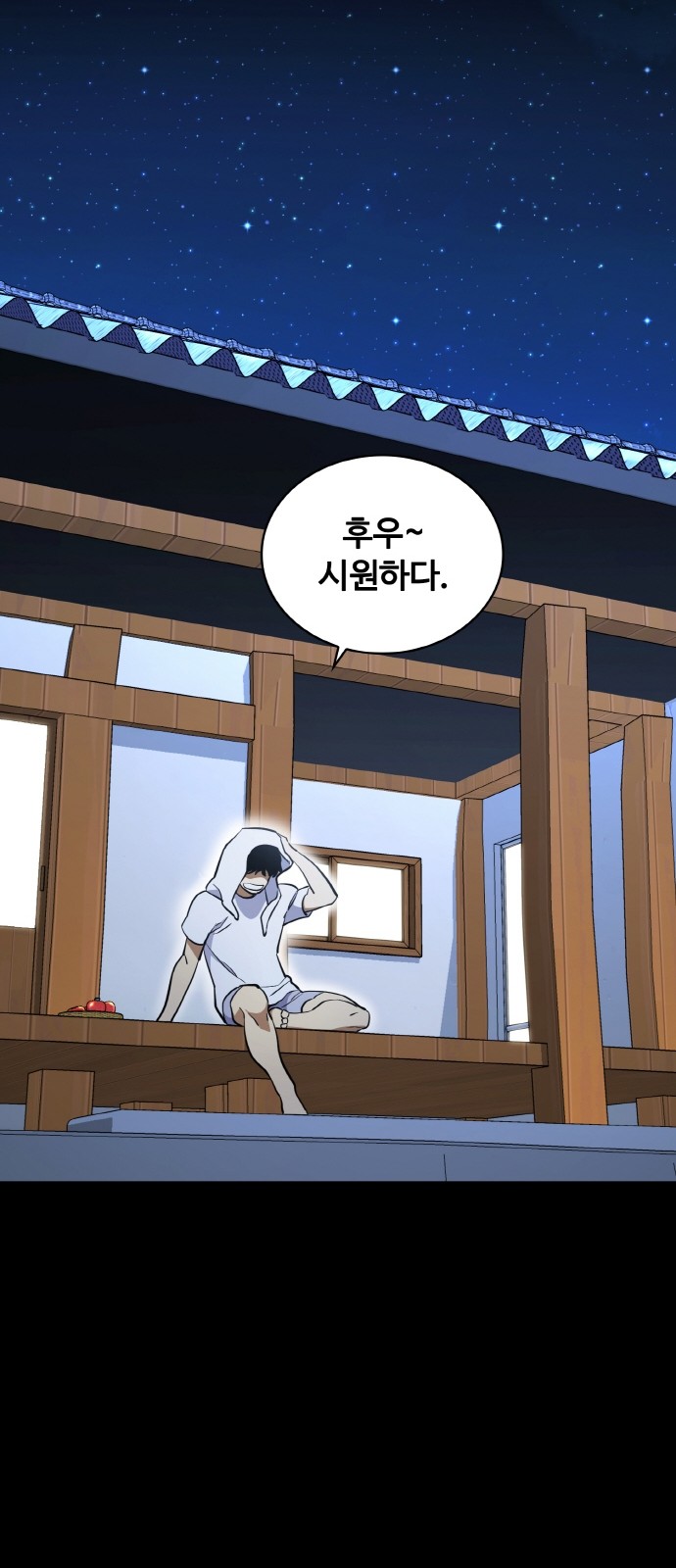 33 페이지