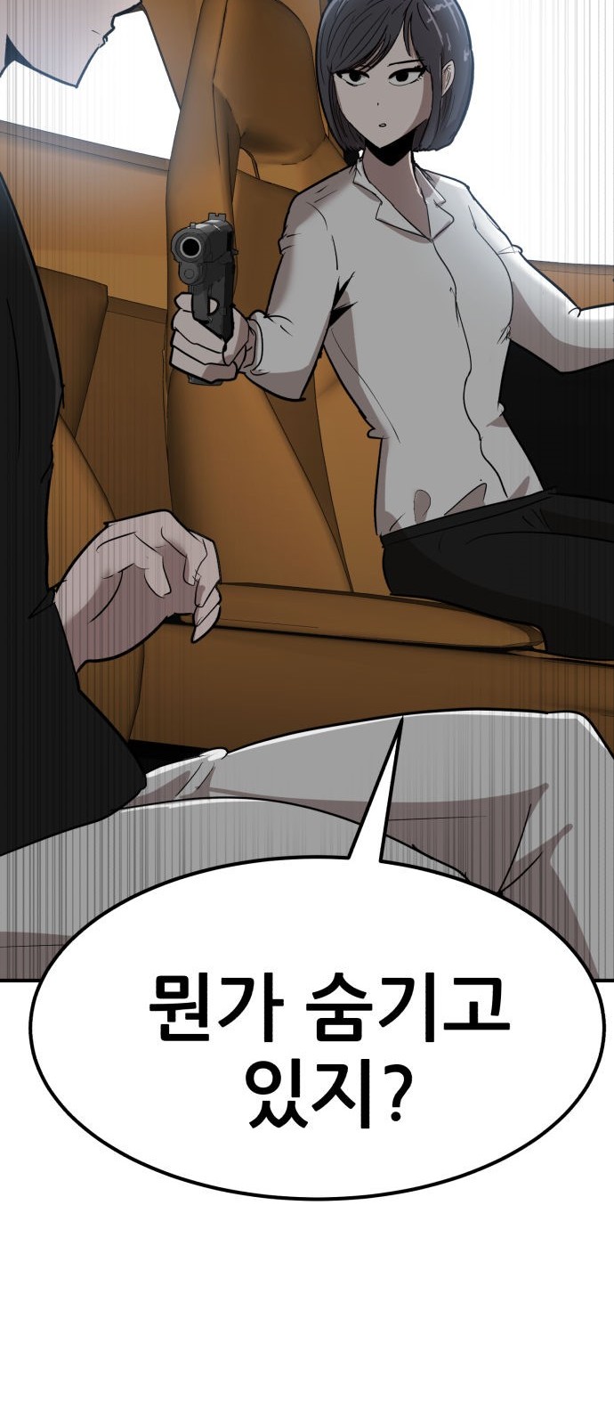 113 페이지