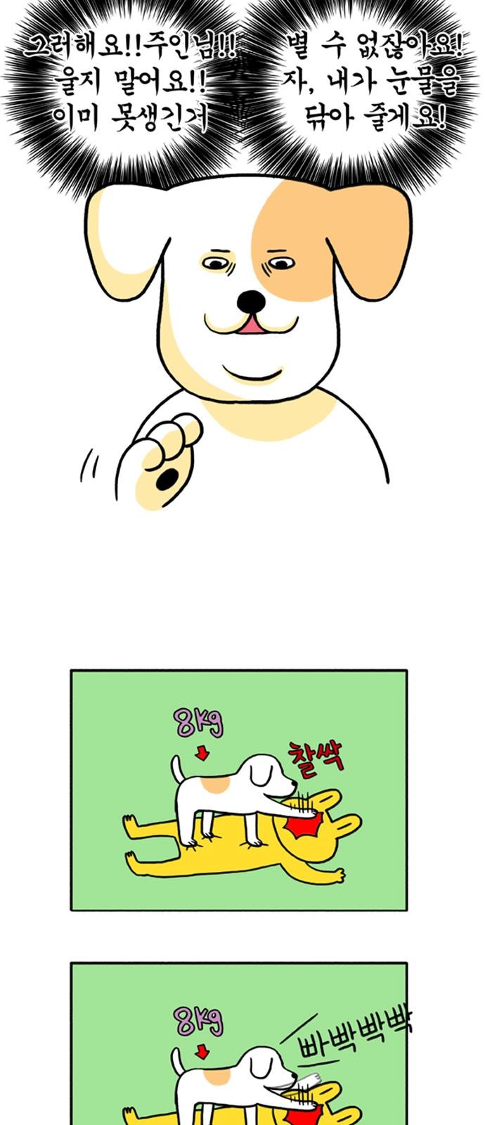 17 페이지