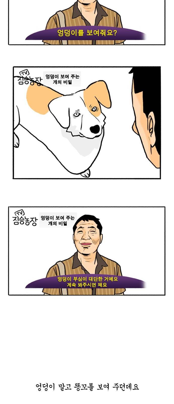 19 페이지