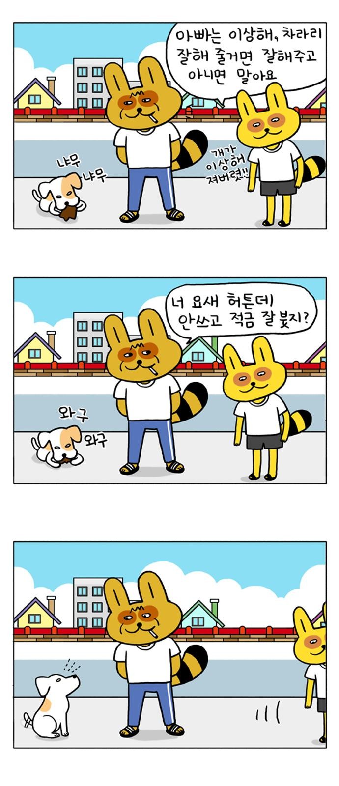 13 페이지