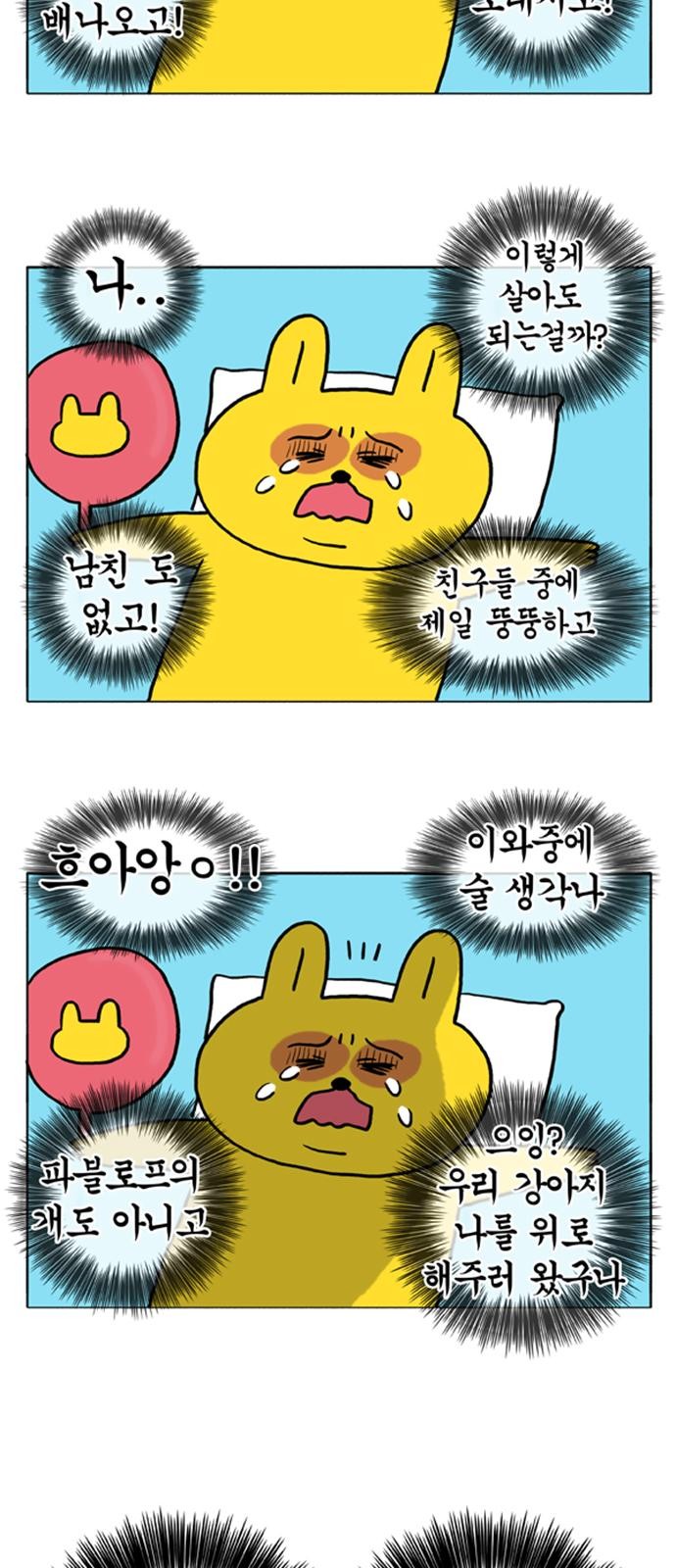 16 페이지