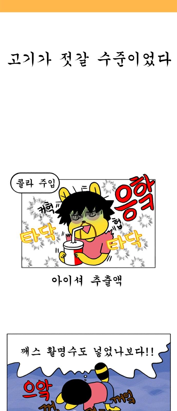 13 페이지