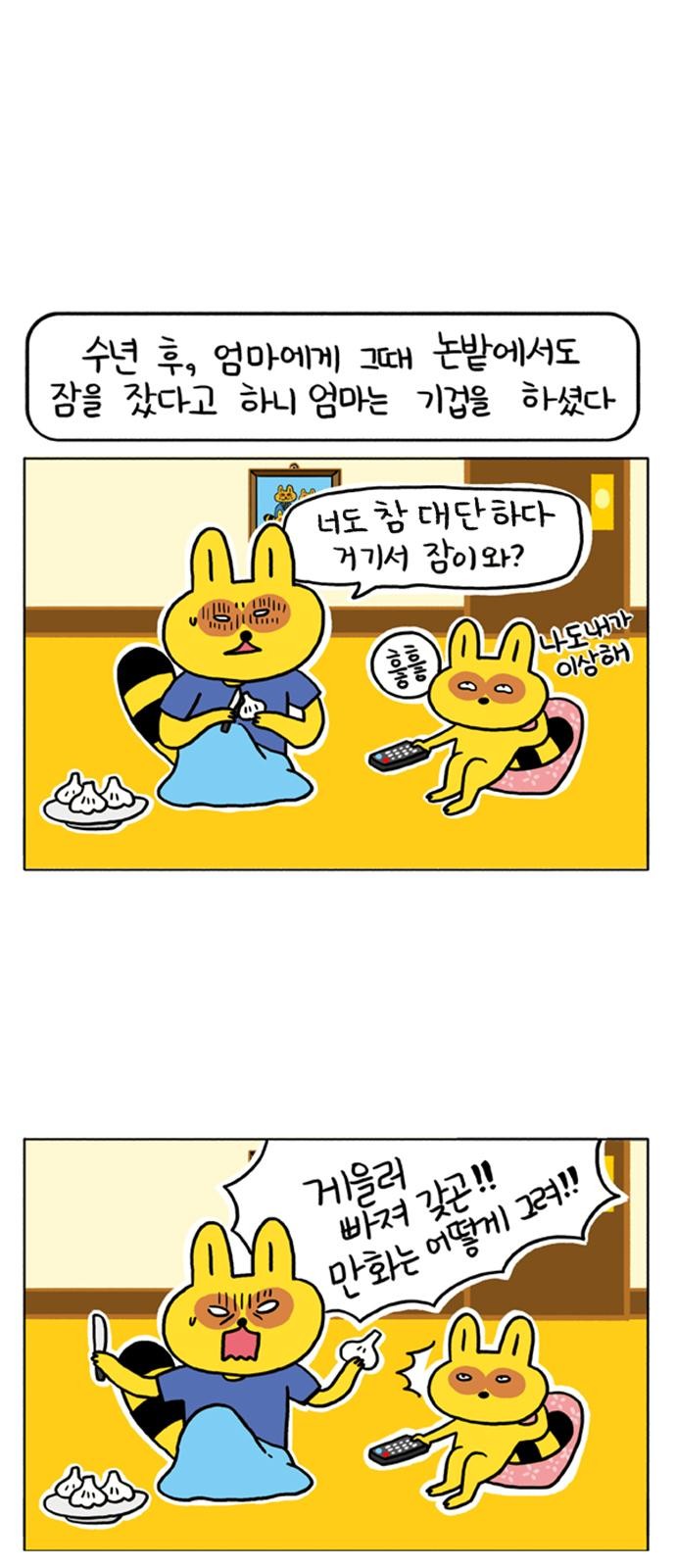14 페이지
