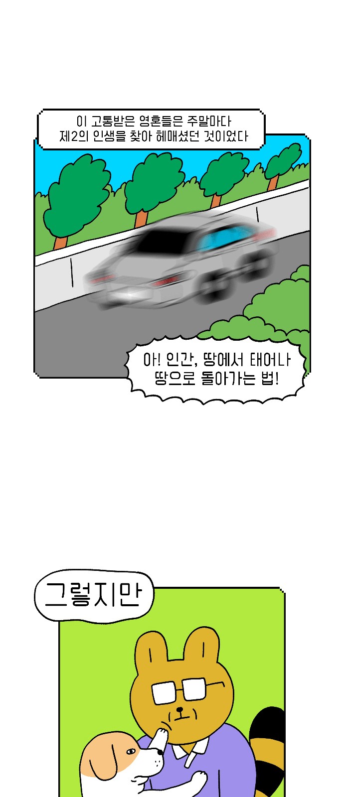 12 페이지