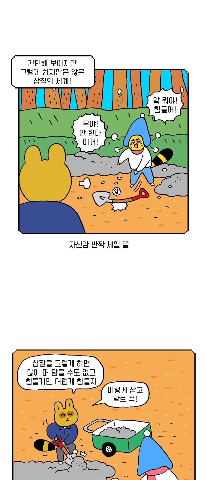 11 페이지