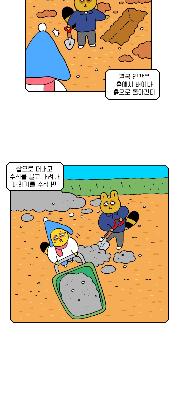13 페이지