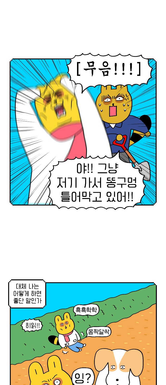 11 페이지
