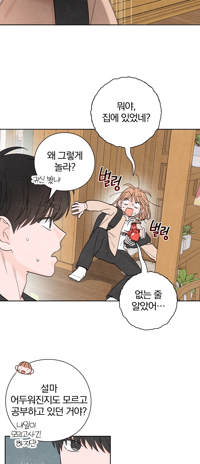 13 페이지