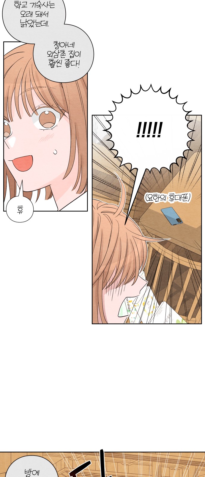 14 페이지