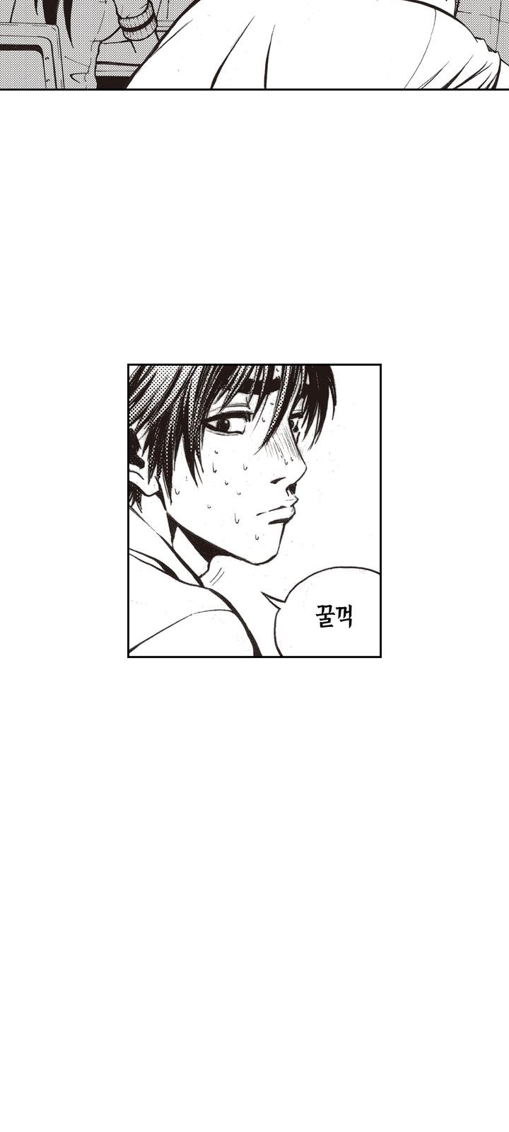 52 페이지