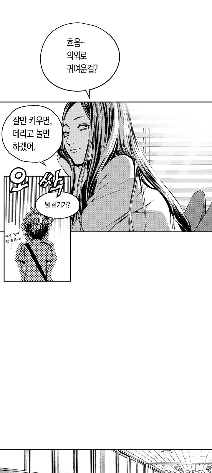 15 페이지