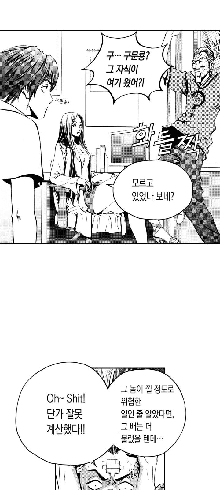 52 페이지