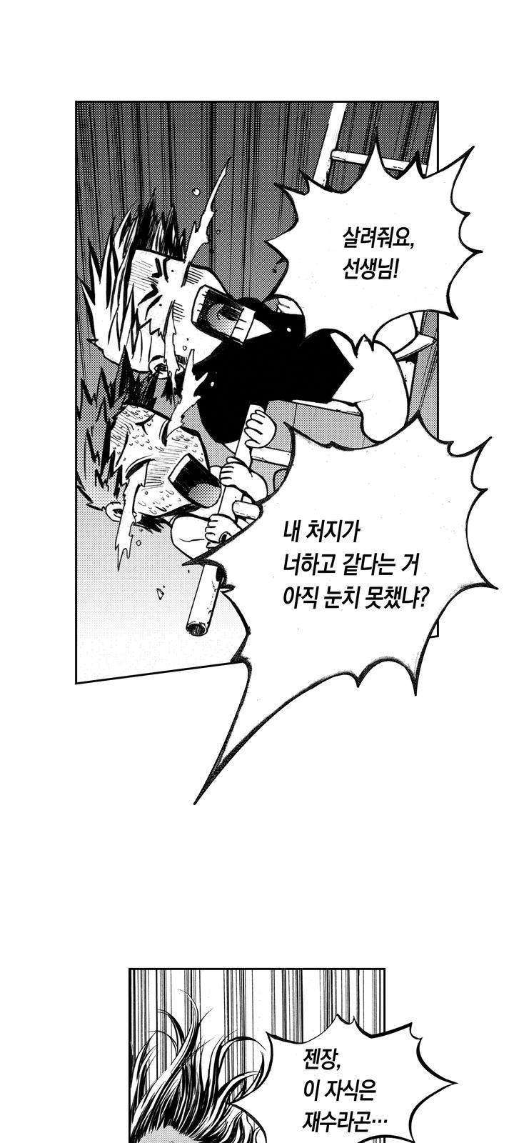 66 페이지