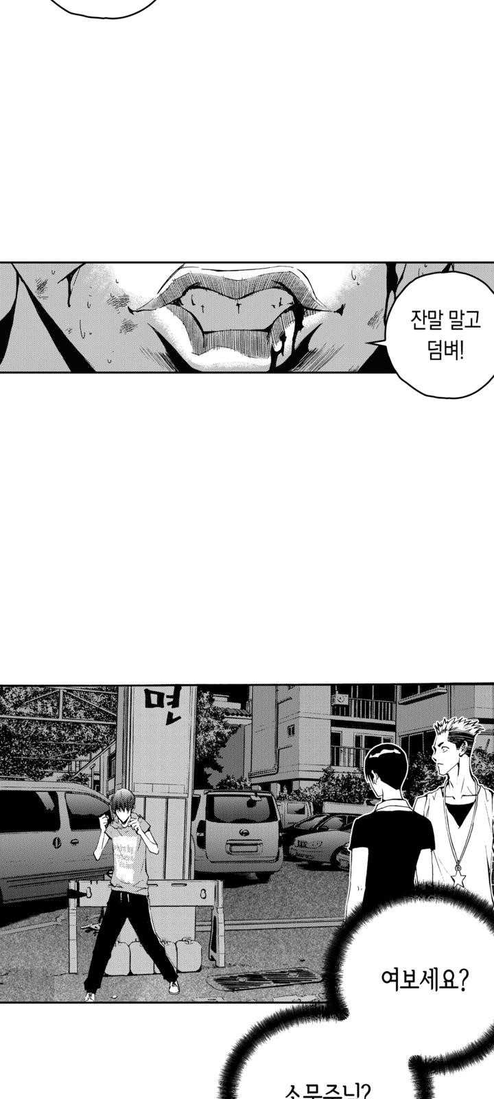 43 페이지