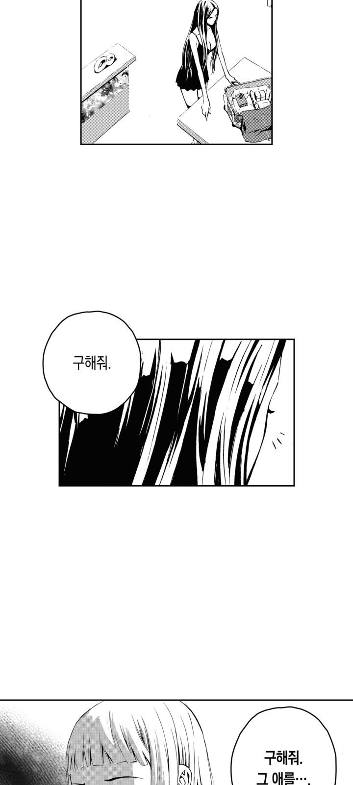 51 페이지
