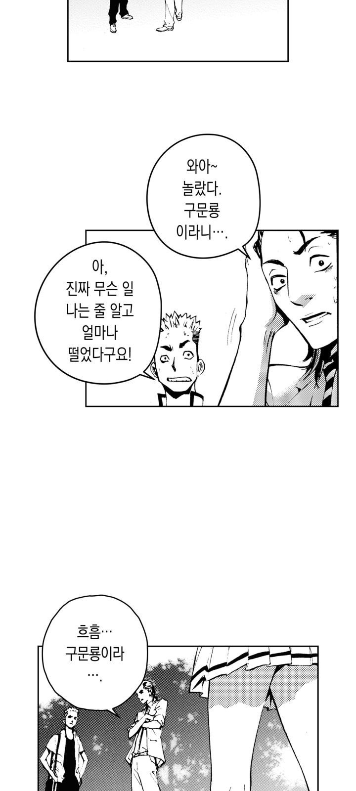 52 페이지