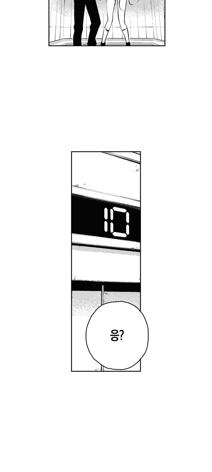 61 페이지
