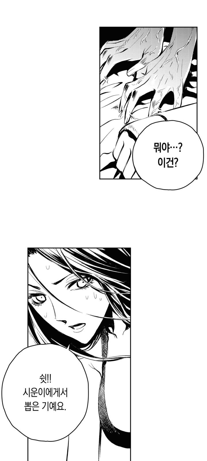 50 페이지