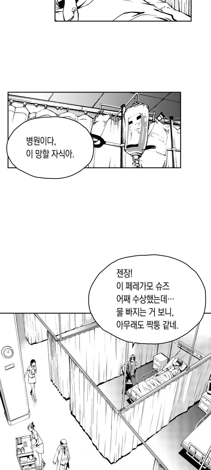 43 페이지