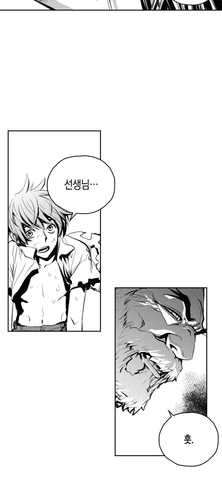 66 페이지