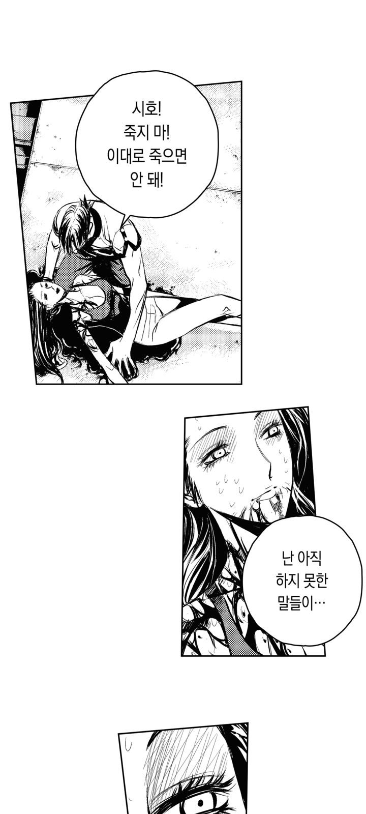 63 페이지