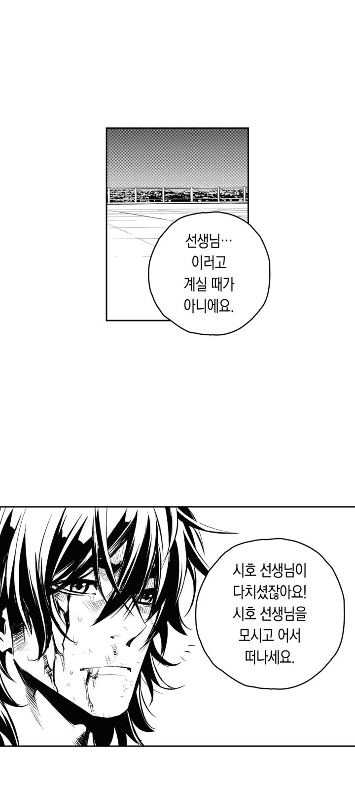 50 페이지