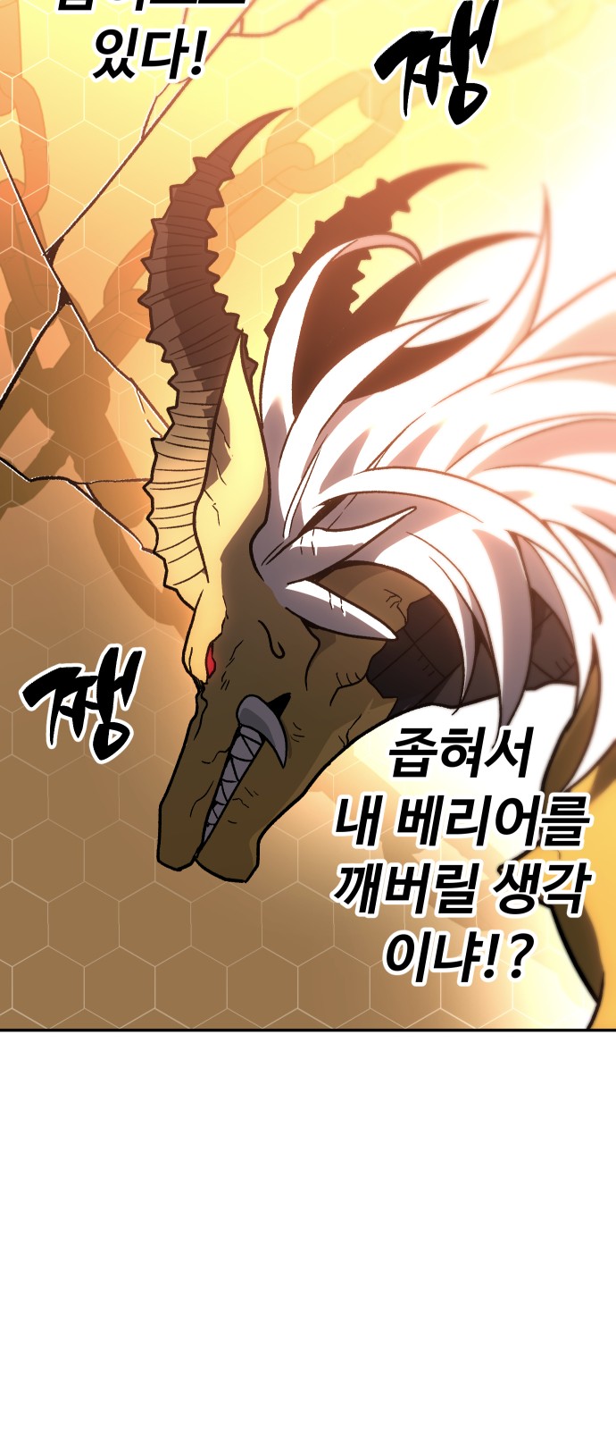 146 페이지