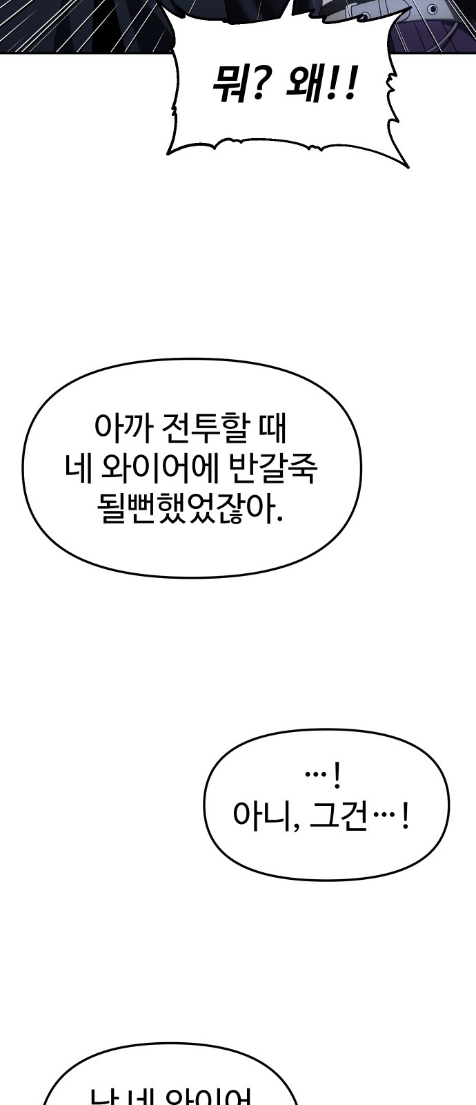 113 페이지