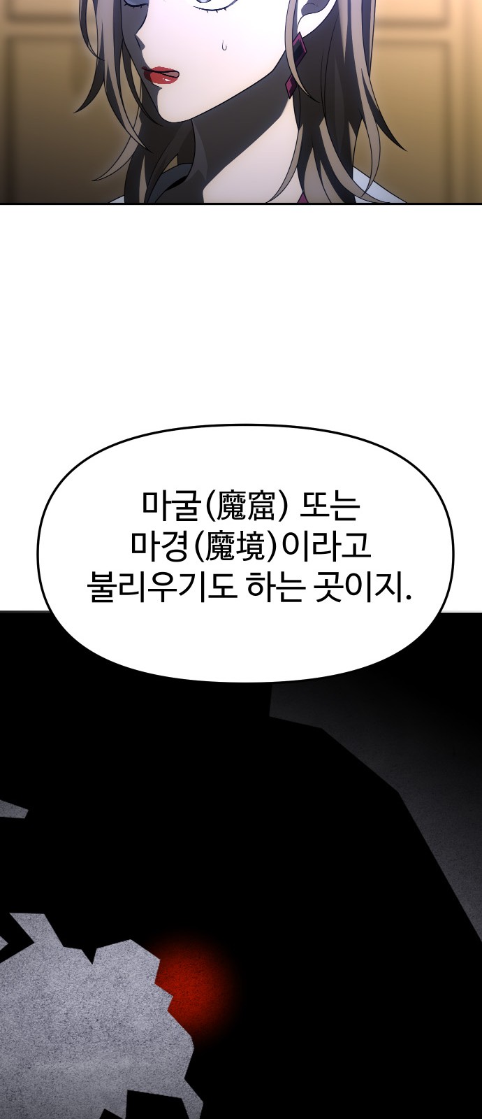110 페이지