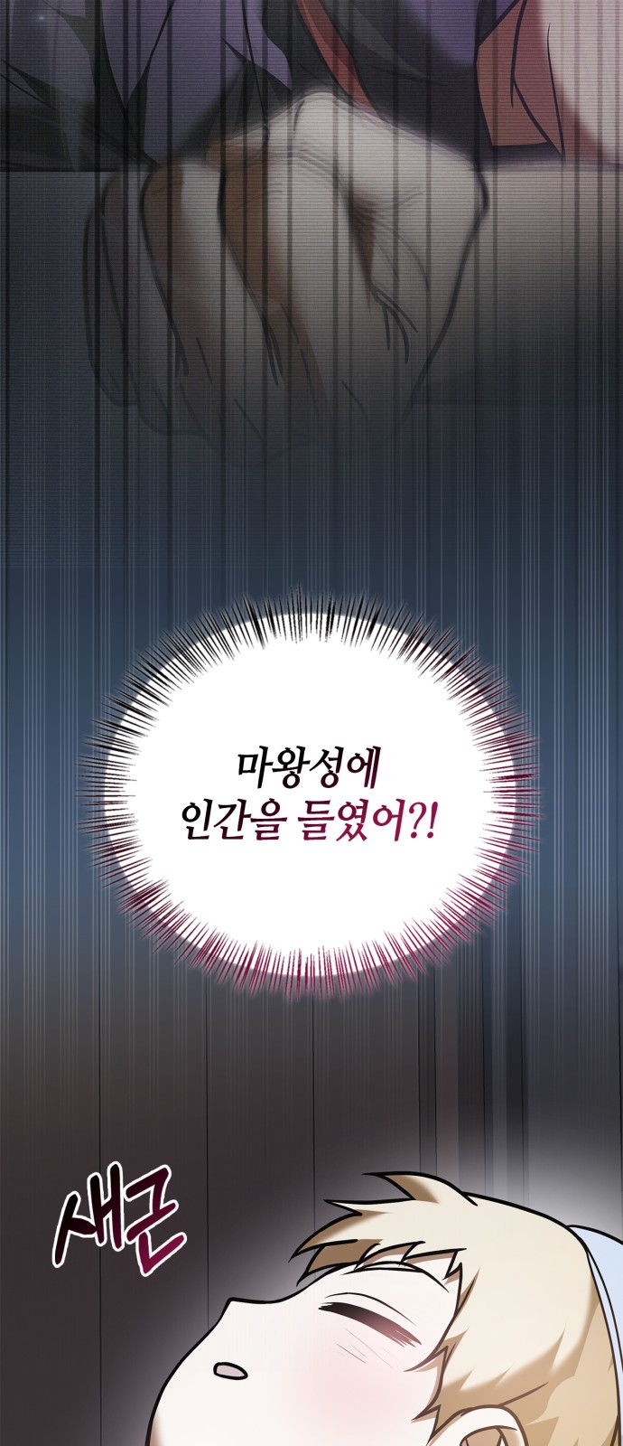 61 페이지