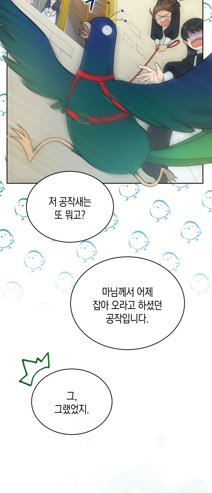 34 페이지