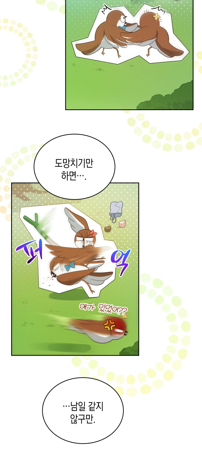 37 페이지