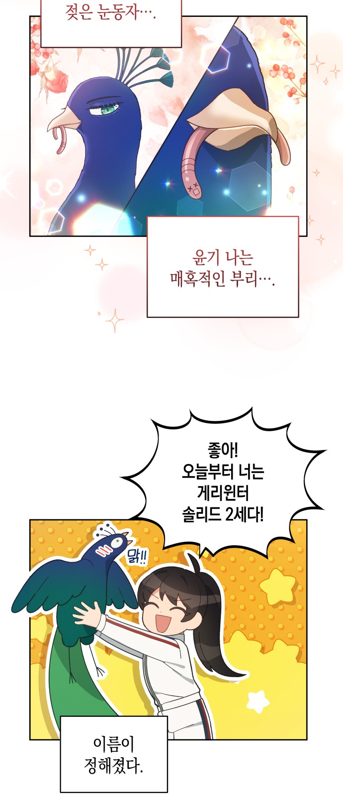 58 페이지
