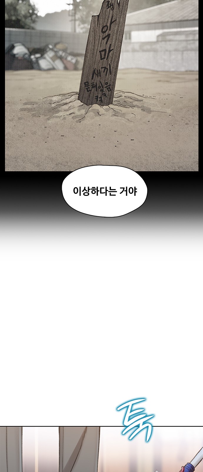 62 페이지