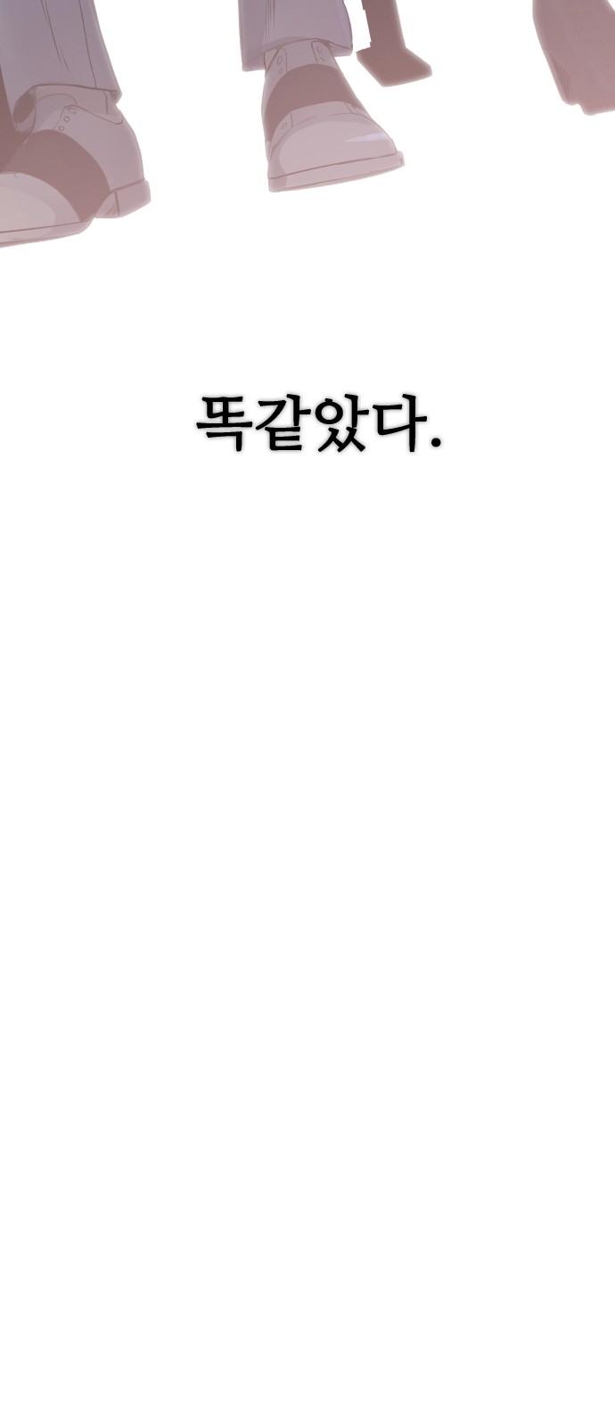 141 페이지