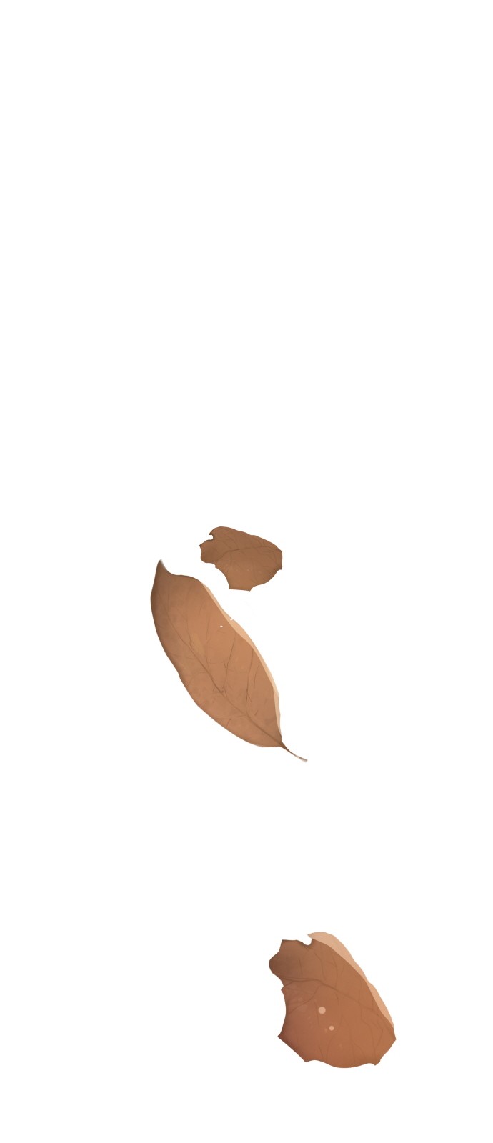 42 페이지