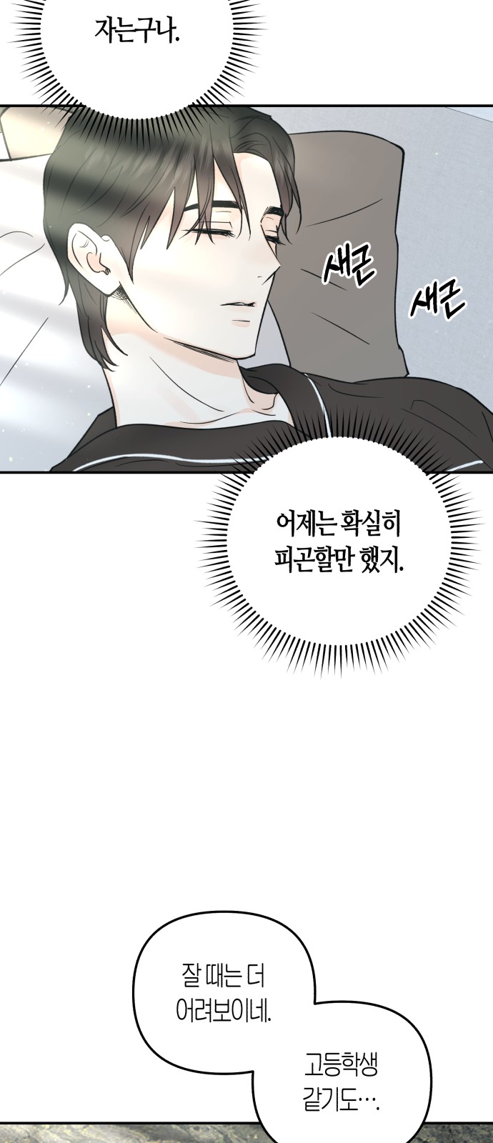 46 페이지