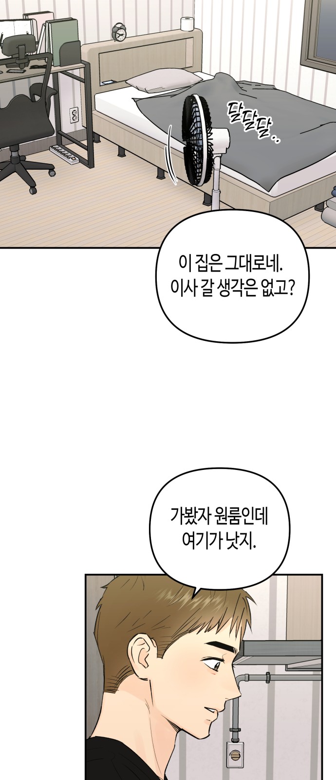 52 페이지